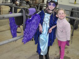 DSC_0230_web
